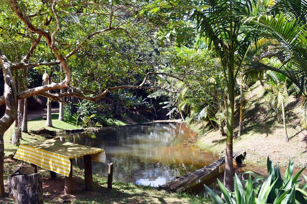 Pousada Recanto Da Mata Marechal Floriano Extérieur photo